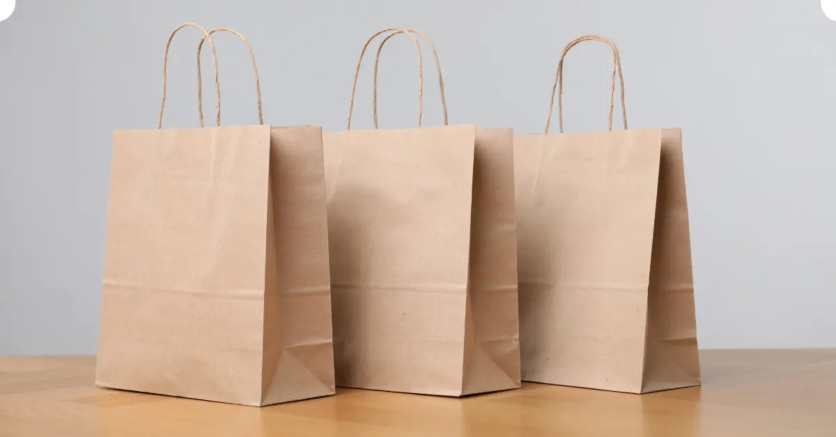 Print on Kraft Paper Bags